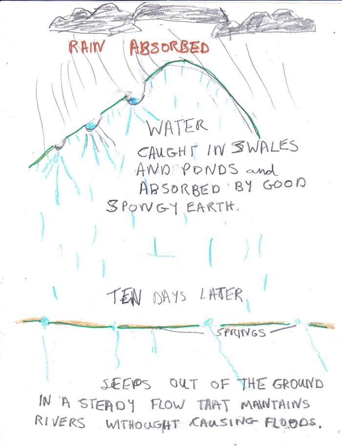 [Thumbnail for rain absorbed.jpg]